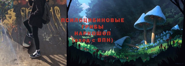 Альфа ПВП Алзамай