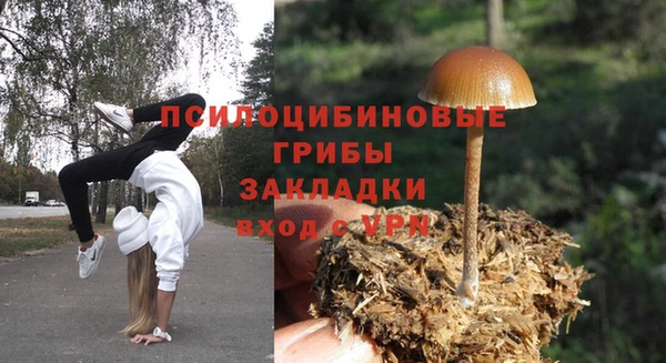 сатива Алексин