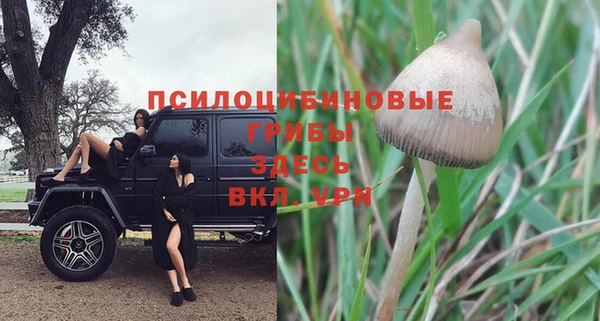 COCAINE Абаза