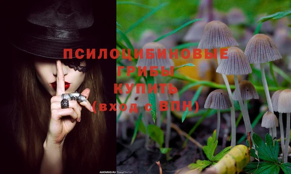 спайс Абдулино