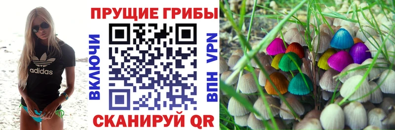 Галлюциногенные грибы мицелий  OMG ссылки  Юхнов 